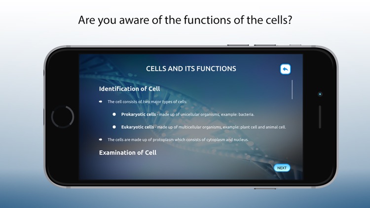 Biology Cell Structure