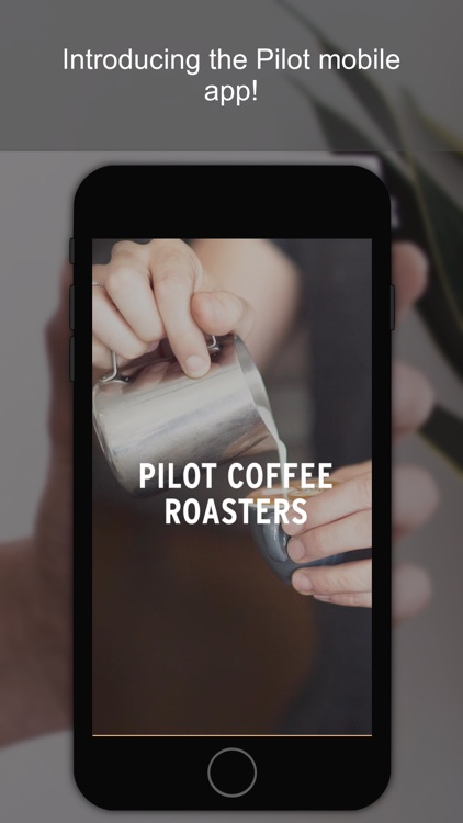 Pilot Coffee Roasters