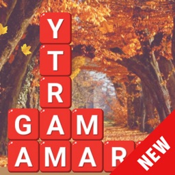 Blocks Connect Stacks