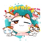 Best Animated Stickers Emojis