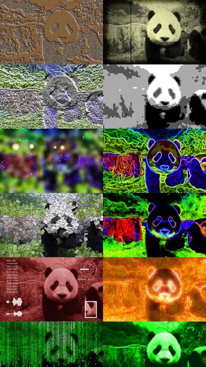 Photo to Infinity screenshot-7