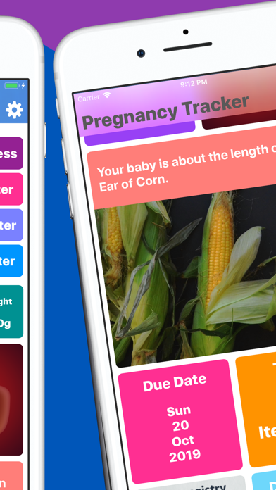 Pregnancy Tracker Your Journey screenshot 3