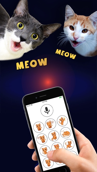 【图】Human to Cat Translator(截图1)