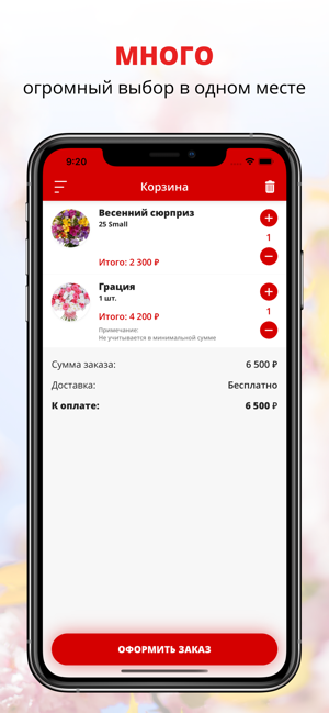 Misterflower | Russia(圖3)-速報App