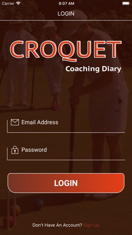 Croquet Coaching Diary