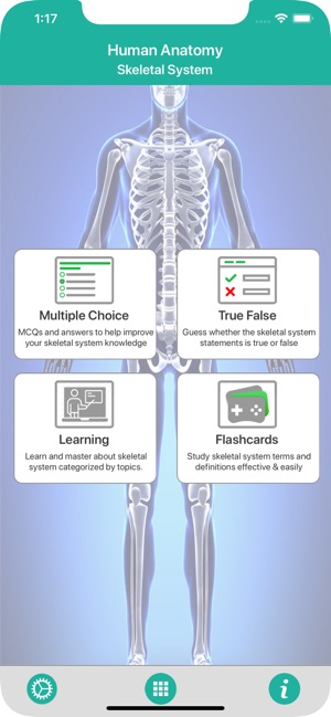 Anatomy - Skeletal System