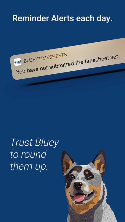 Bluey Timesheets