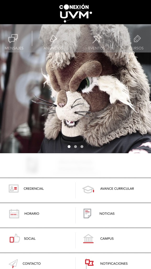 【图】Conexión UVM(截图1)
