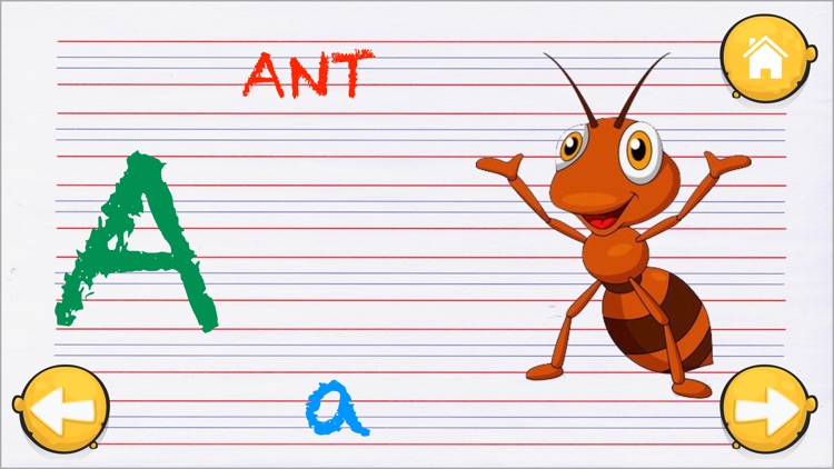 1st Grade ABC