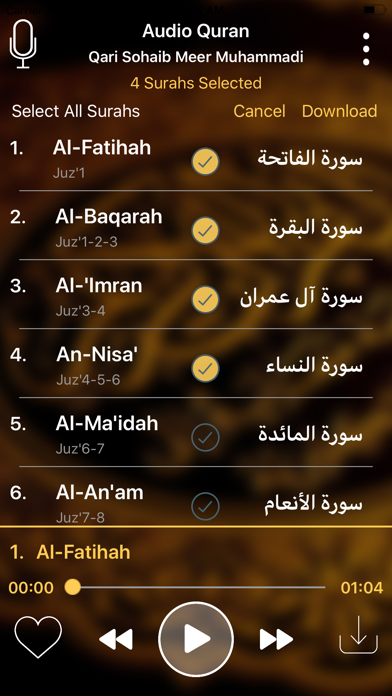 Audio Quran screenshot 4