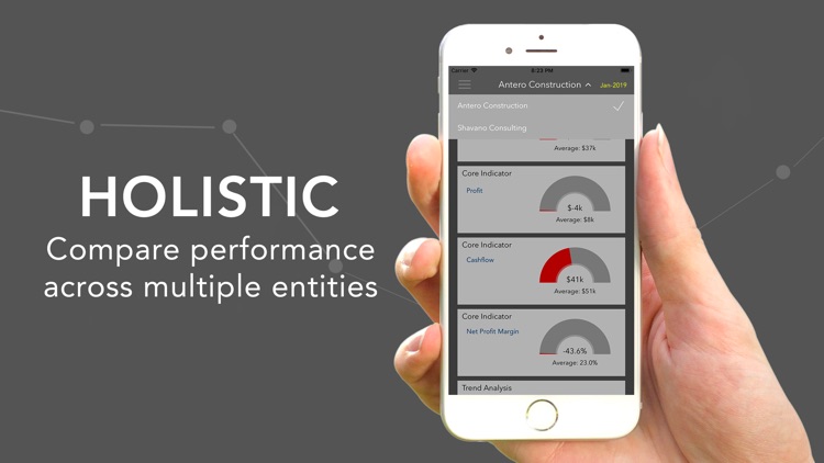 EpicLedger Financial Dashboard screenshot-4