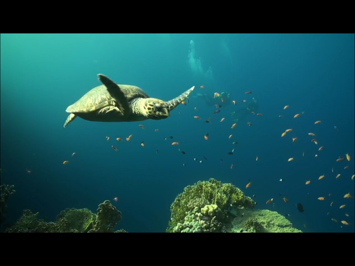 Video Touch Lite - 宝宝游戏