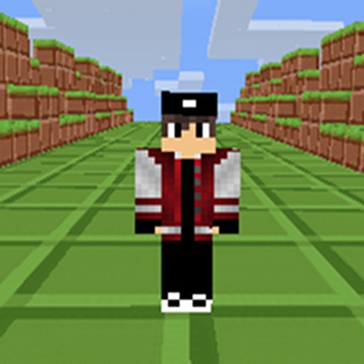 Pixelmon Runner