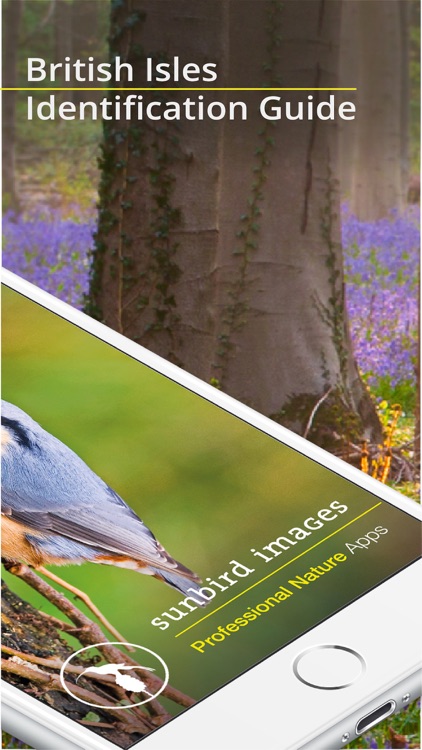 Bird Id - British Isles birds