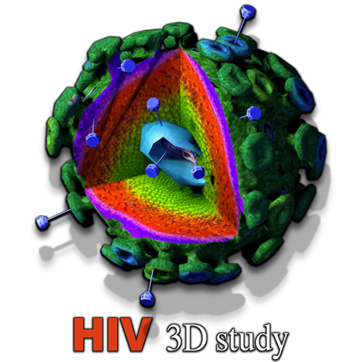 HIV 3D study