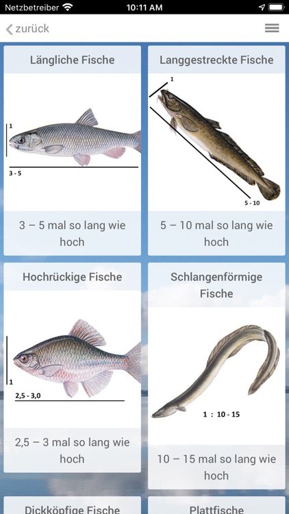 SWIMWAY FishExplorer