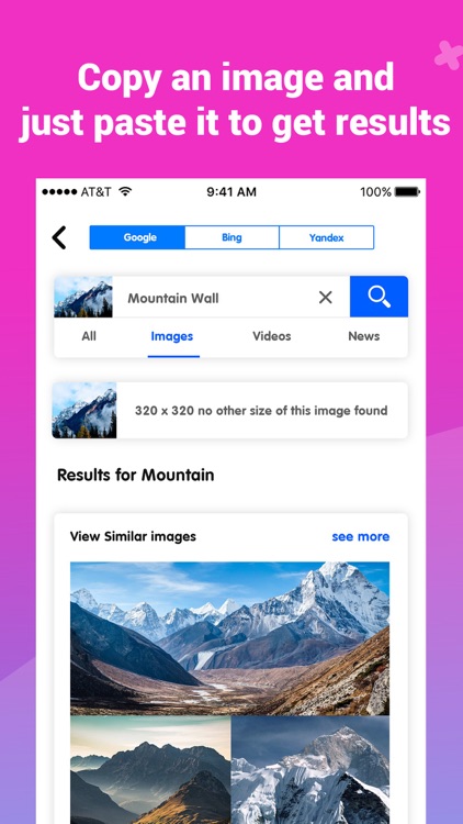 Image Recognition and Searcher