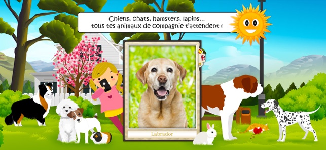 Chien Chat Animaux Maison Dans Lapp Store