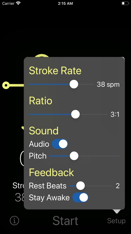 Metrownome: A Rowing Metronome