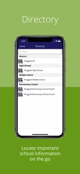 Game screenshot Ringgold School District hack