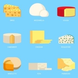 Cheese types to know