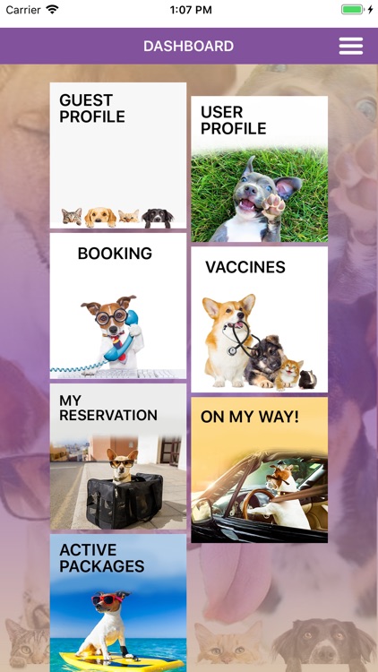 Sydney's Pet Resort and Spa screenshot-3