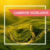 Cameron Highlands City Guide