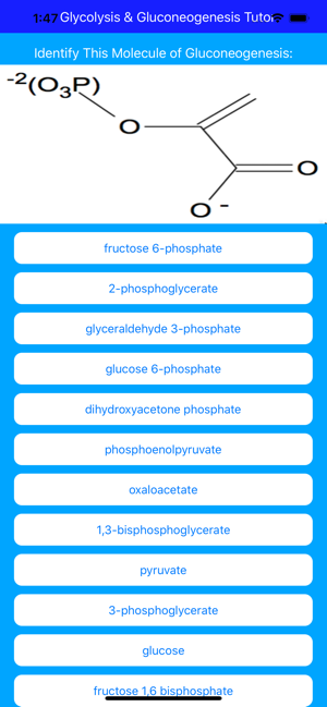 Glycolysis Glucogenesis Tutor(圖5)-速報App