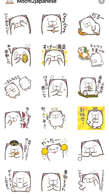 フレンチブルドッグモチちゃん 2 (JP)