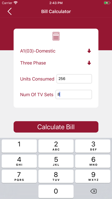 Wapda Bill Checker Online screenshot 4