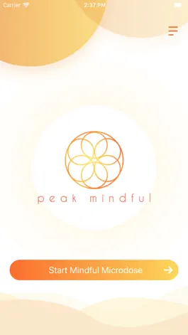 Game screenshot Peak Mindful apk