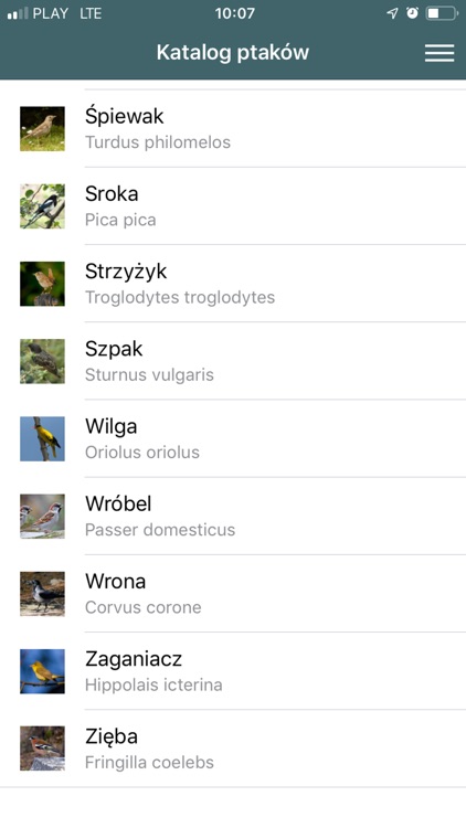 Dzierzgoń - włącz wyobraźnię