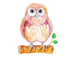 Watercolor Owl Stickers Pack