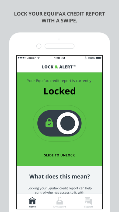 How to cancel & delete Lock & Alert™ from iphone & ipad 2