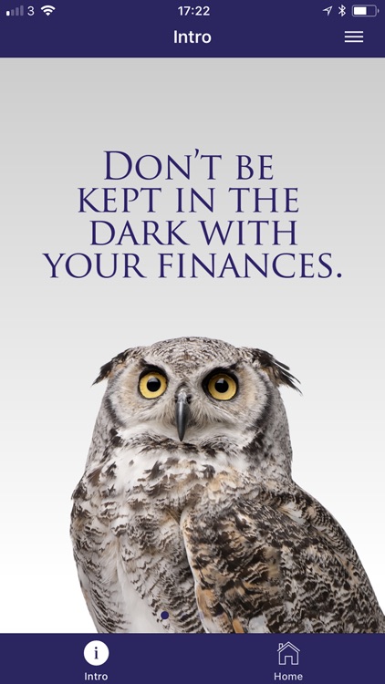 Wise Financial Consulting