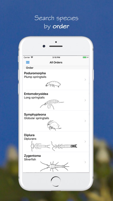 eInsects of South Africa App | AppWebKit