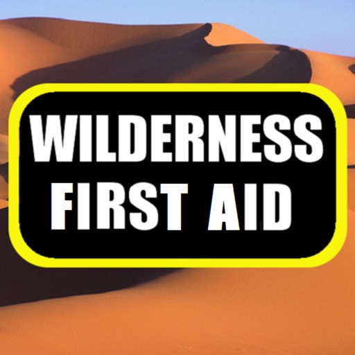 Wilderness First Aid Icon