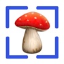 Get Fungi: Mushroom Identification for iOS, iPhone, iPad Aso Report