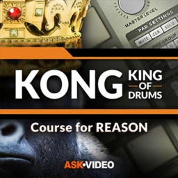 King of Drums Course for KONG