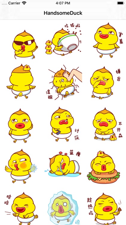 HandsomeDuck