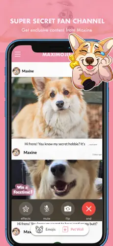 Yakalama 8 MaxiMojis - Corgi dog stickers iphone