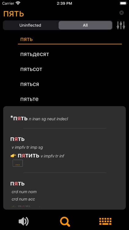 RuFlex Pro Russian Inflection screenshot-4