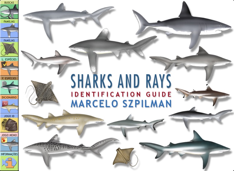Sharks & Rays by Caranx Informatica Ltda.