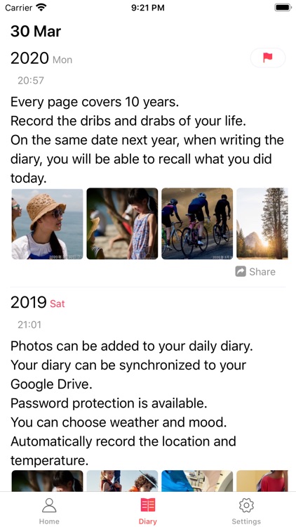 TenYear Diary - journal & memo