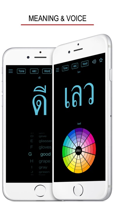 Thai Words & Writing screenshot 4
