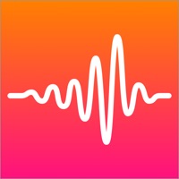 Transcribe Live PC 용