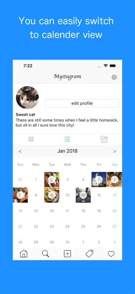 Game screenshot Mystagram -Private Photo Diary hack