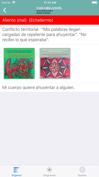 LOS ÓRGANOS