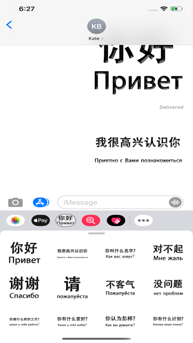 Russian Chinese screenshot 4