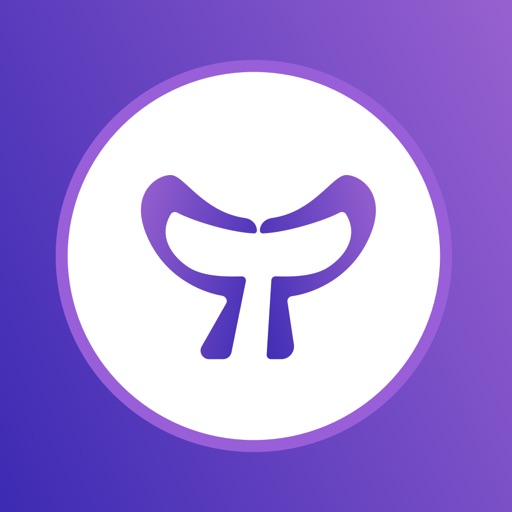 Topay - Secure your assets